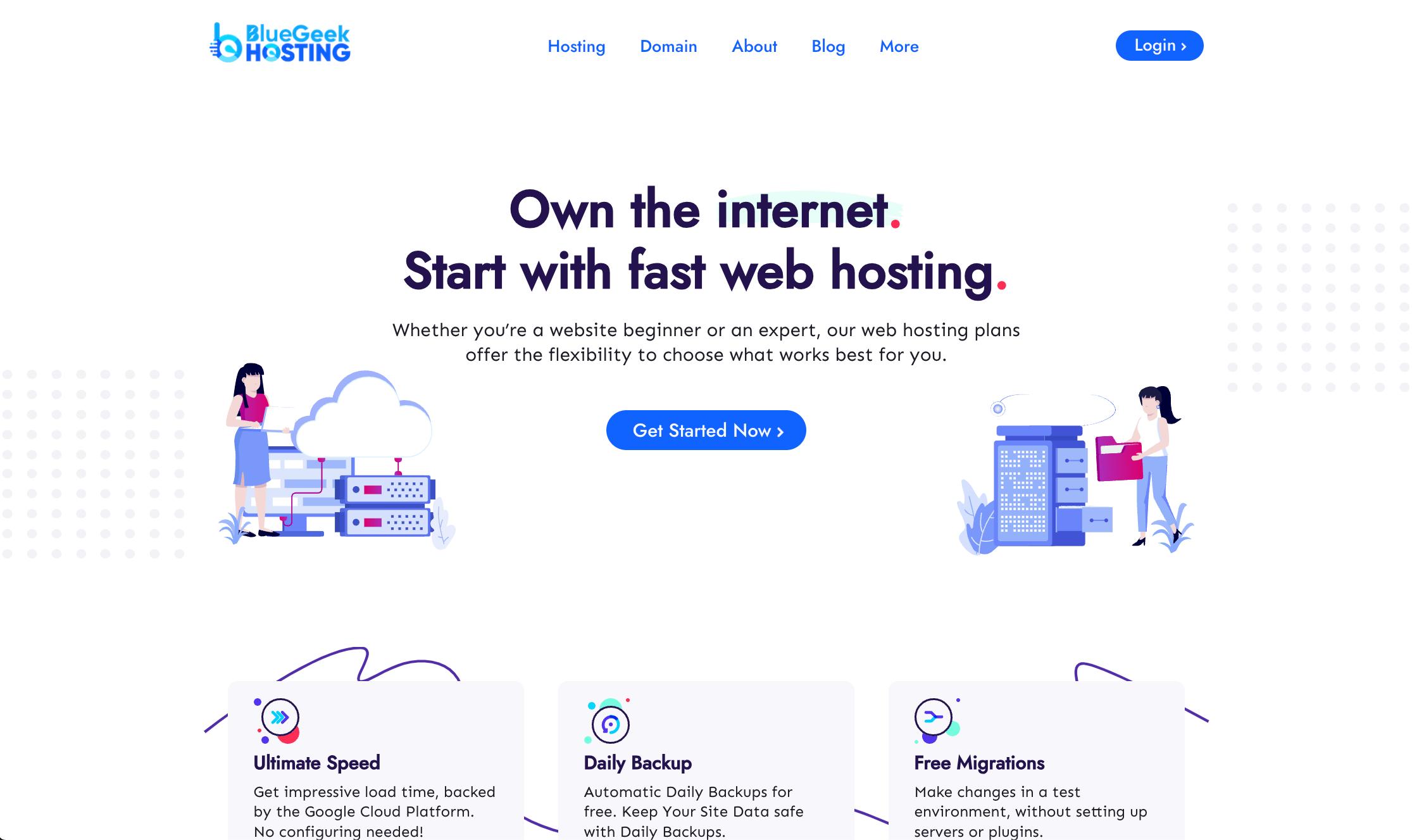 screenshot of Blue Geek Hosting website