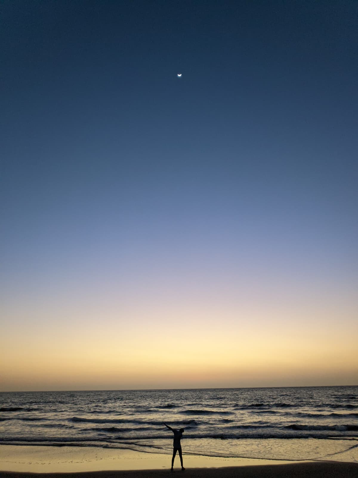 Photo taken on February 5, 2022 by POCO F1 (beryllium)